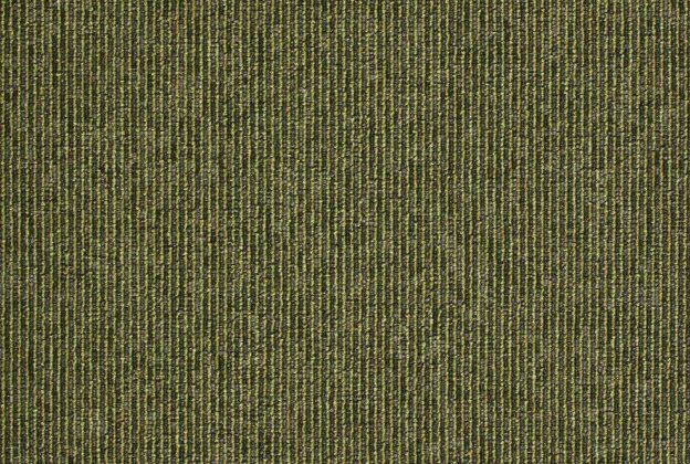 Plaatvaip Paragon Macaw Stripe | Lime / Quartz, 318101M roheline_1