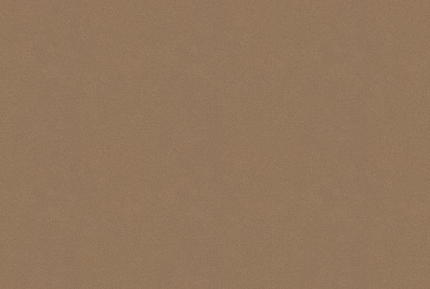 Vinüülseinakate Vescom Colour Choice 1056.052 pruun_1