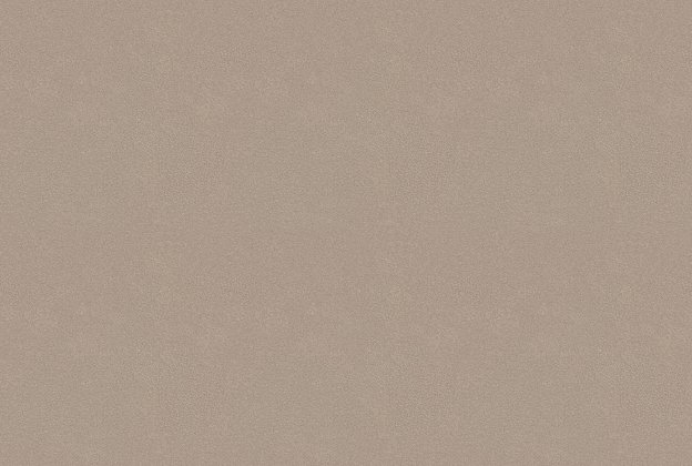 Vinüülseinakate Vescom Colour Choice 1056.053 pruun _1