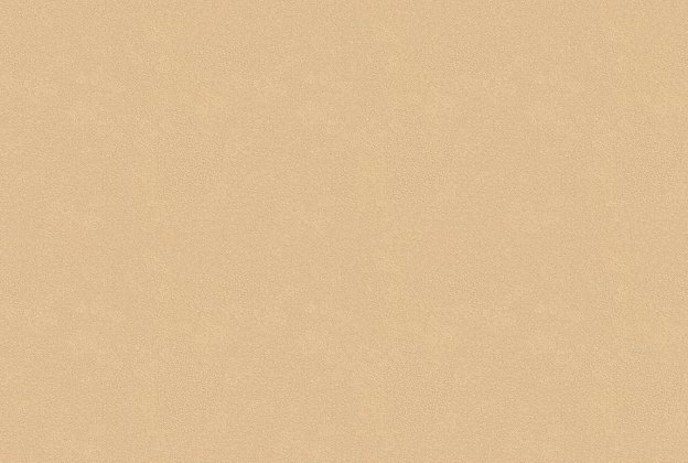 Vinüülseinakate Vescom Colour Choice 1056.057 beeź_1