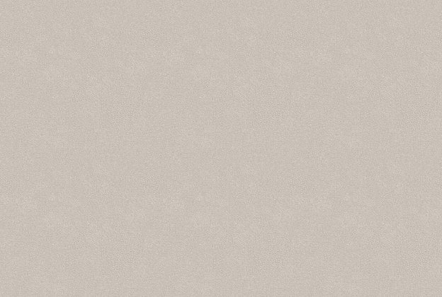 Vinüülseinakate Vescom Colour Choice 1056.067 beeź _1