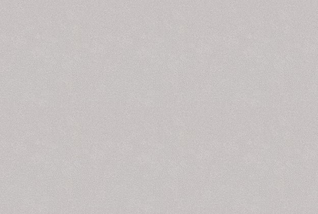 Vinüülseinakate Vescom Colour Choice 1056.068 beeź  _1