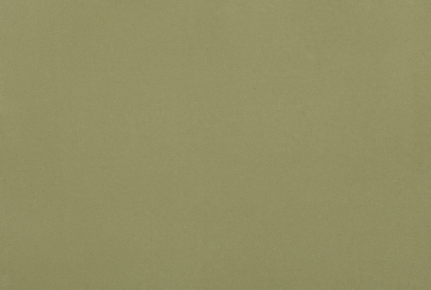 Linoleum Gerflor DLW Uni Walton Acoustic Plus 0090 OLIVE roheline_1