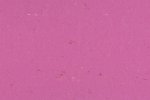 Linoleum Gerflor Acoustic Plus Colorette 0110 Cadillac Pink roosa_1