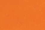 Linoleum Gerflor Acoustic Plus Colorette 0170 Kumquat Orange oranž_1