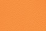 Sportpõrand Gerflor Taraflex Recreation 60, 6160 Naranja _1