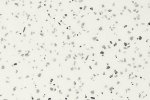 Akustiline PVC Gerflor Taralay Impression Acoustic 1058 Terrazzo Black & White _1