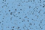 Elektrit juhtiv PVC Gerflor GTI EL5 Cleantech 0354 Blue sinine_1