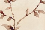 Vinüülseinakate Muraspec Florals & Botanics-LTD00500 Taimed _1