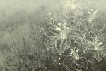 Vinüülseinakate Muraspec Florals & Botanics-LTD00440 Taimed  _1