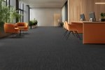 Plaatvaip Paragon Elemental Cloudburst, Nimbus Grey, 810114 hall_3
