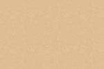 Vinüülseinakate Vescom Colour Choice 1056.057 beeź_1