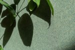 Vinüülseinakate Vescom Fibras 1116.07 oranź_3