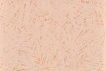 Veekindel PVC- põhine seinakate Shower System "Mural Calypso" 7016 Tropic Terra Copper roosa_1