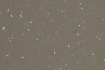 Akustiline PVC Gerflor Taralay Millenium Acoustic 4038 DELIA pruun_1