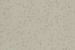 Akustiline PVC Gerflor Taralay Millenium Acoustic 4372 BOREE hall/ pruun_1