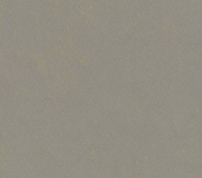Linoleum 0551 Flashy Asphalt Grey