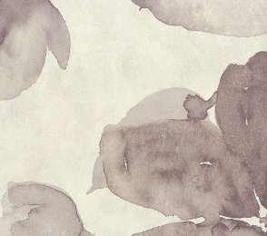 Vinüülseinakate Muraspec Florals & Botanics-LTD00494 Taimed  